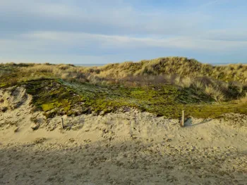 Oostnieuwkerke duinen wandeling in de koude (België)